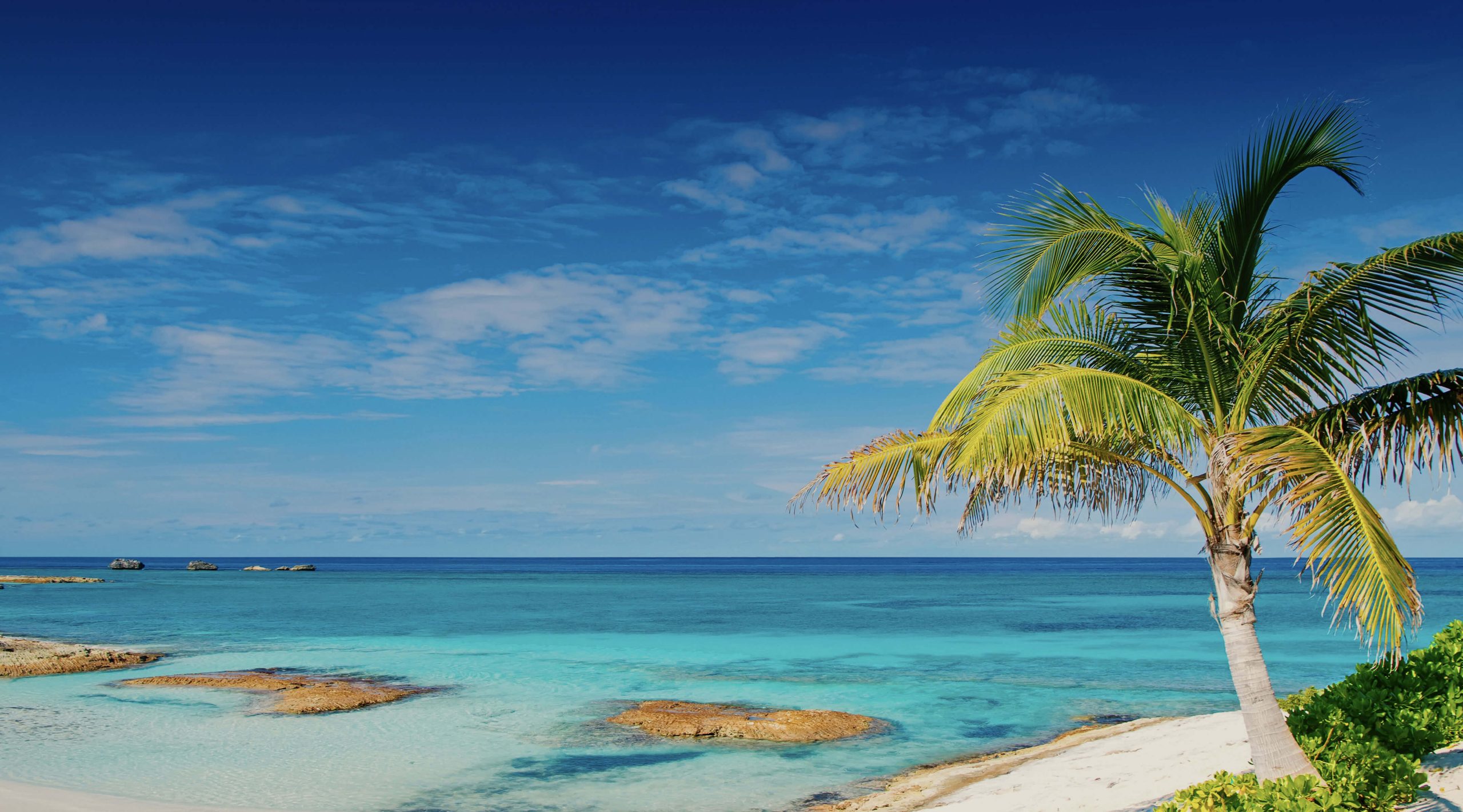 Scarica la migliore VPN per le Bahamas nel 2025