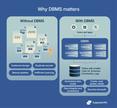 An infographic showcasing the differences between managing data with a DBMS and without one.