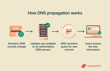 Diagram showing how DNS propagation works.