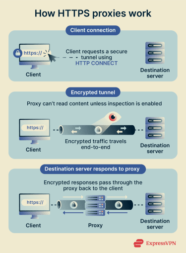 An overview of how HTTPS proxies forward encrypted traffic between client and server.